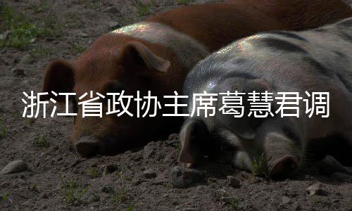 平湖浙江慧君环境省政协主席葛项目调研联运